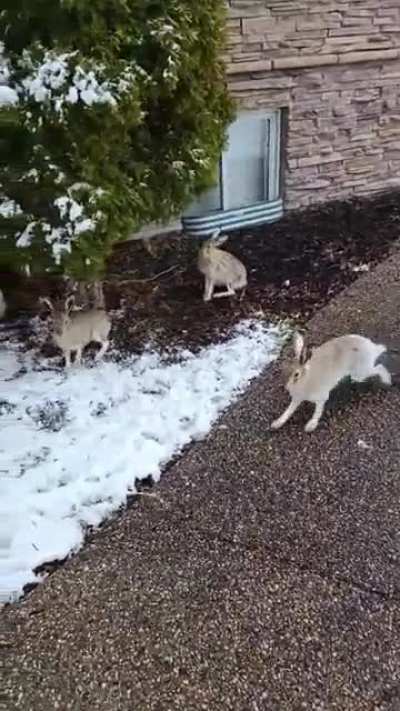 I have guests!