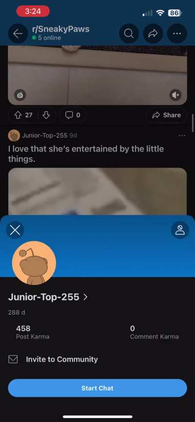 This place has a serious bot problem