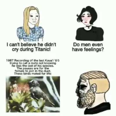 Sad moment bros