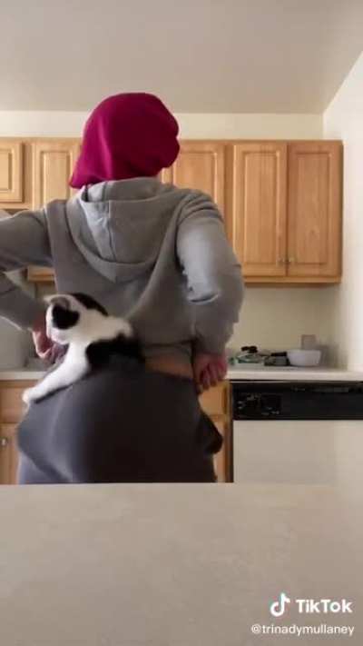 Throwing that Kitty Back