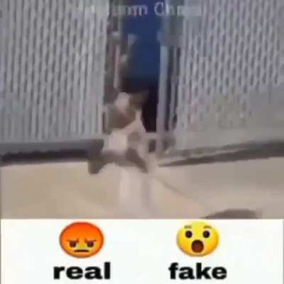 Real ou fake ,?????🤔