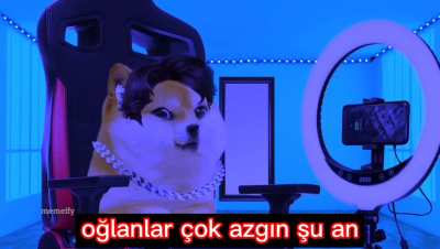 Ortalama internet kullanıcısı