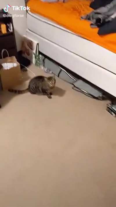 that’s one angry pussy