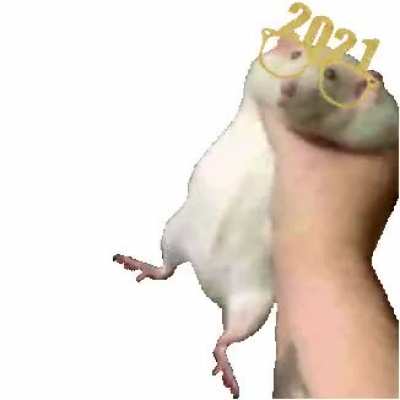 Give me a better year you useless rodent
