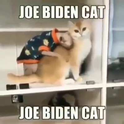 Come on man