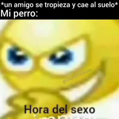 Sexo