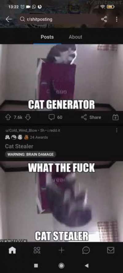 Infinite Cat Loop