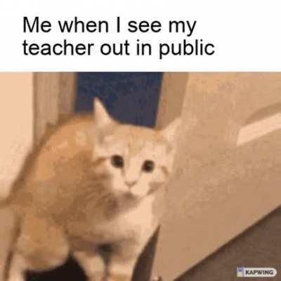 social interaction scares me