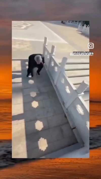 Parkour?!!