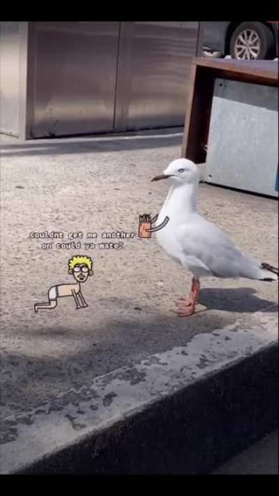 Don’t feed the humans