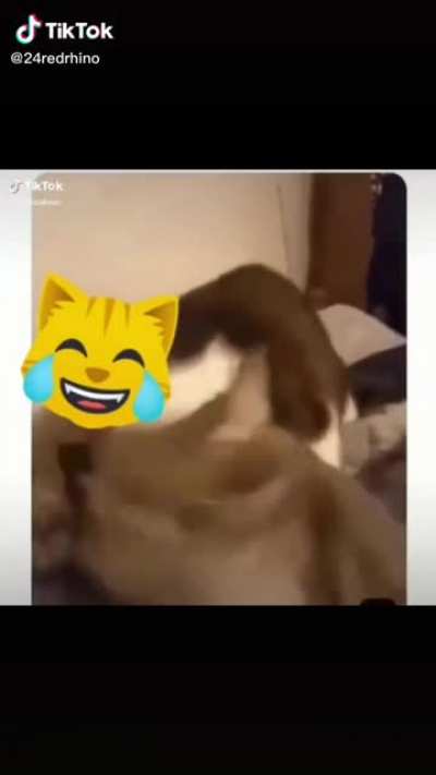 Eeeehhhhhhhh