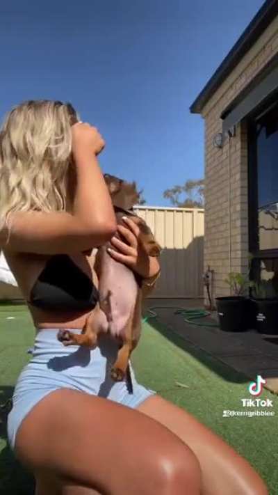 Lucky dog