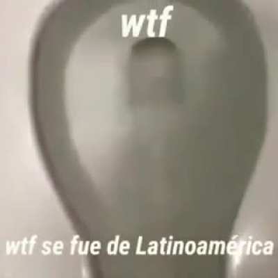 🐿️🚽