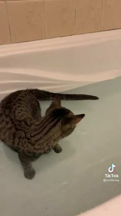 Is this what TikTok want?