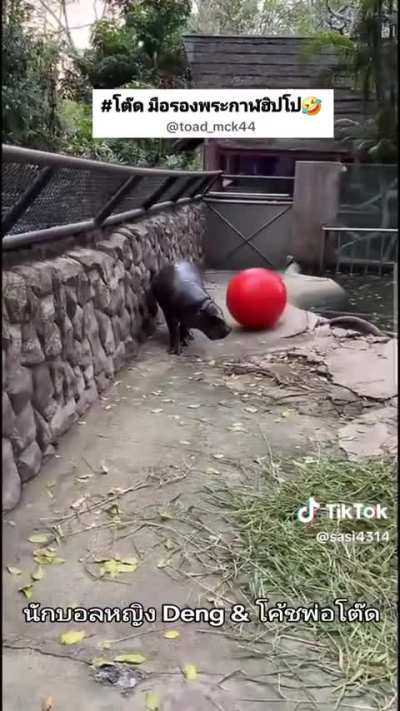 New ball