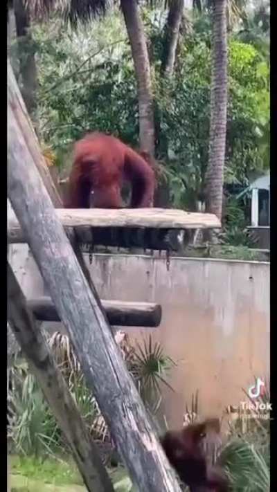 Down you go