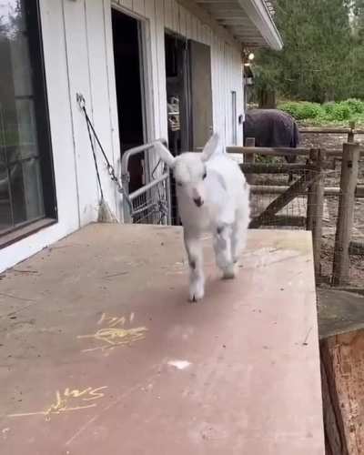 I'm gonna thump ya