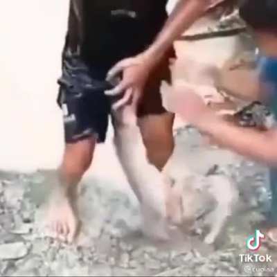 Great Catch