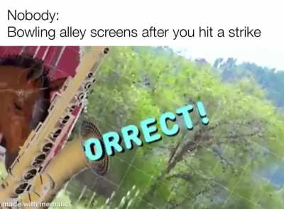 Why are they like this?