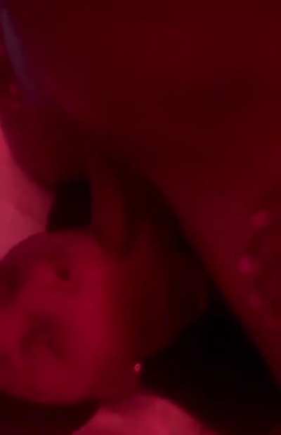 T@jee