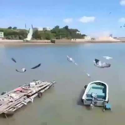 Drone surveillance footage.