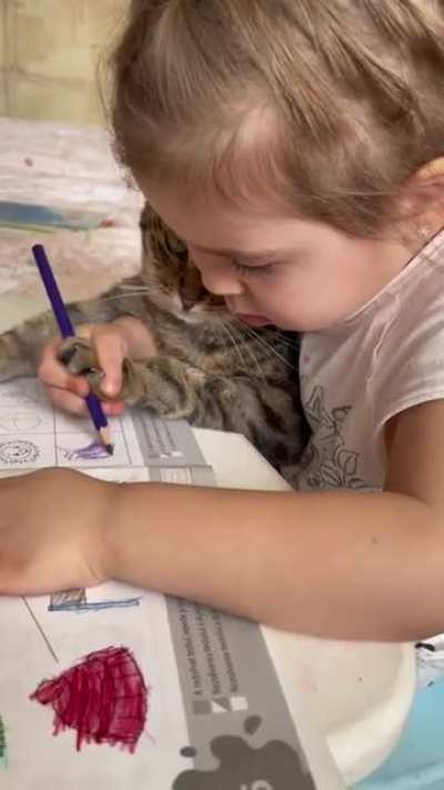 Teaching the cat how to draw
