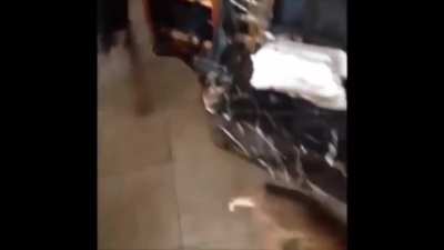 Tiger attack!
