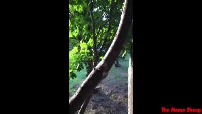 Do not mind the other vid at the end