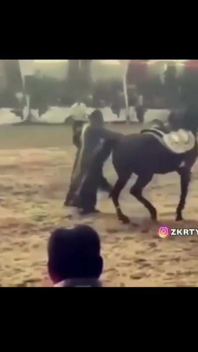 Dancing With The Horses