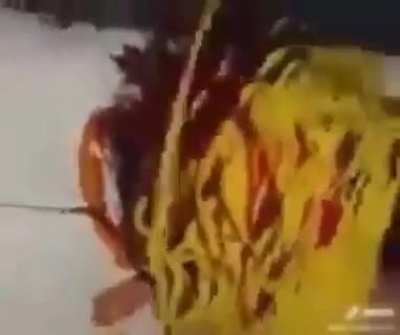 Hot dawg
