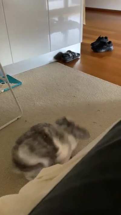 Watch until the end
