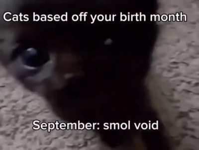 Wunk month