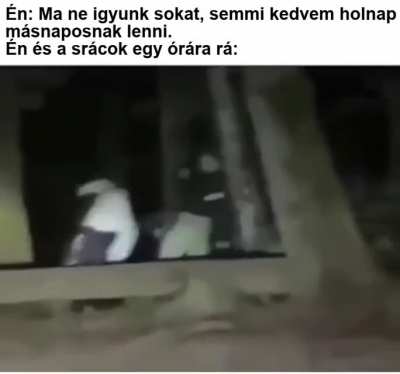 Én és a Kumpelek ahogy végrehajtjuk a harmadik bécsi döntést