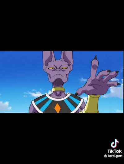 NOOOOO LORD BEERUS 