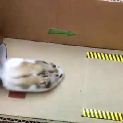 Maybe Maybe Maybe