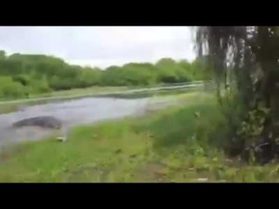 Run Daniel! Run!!