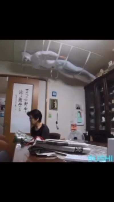 unexpected scream