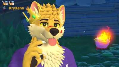 Furry_irl