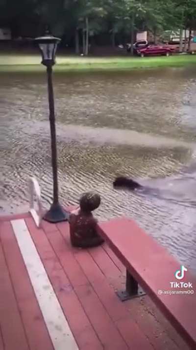 “Dad! Dad! I will save you don’t worry!”