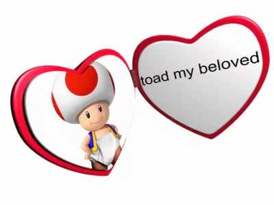 very good picture of toad