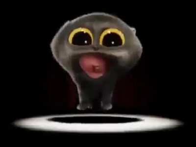 Wacky cat I found. He meow