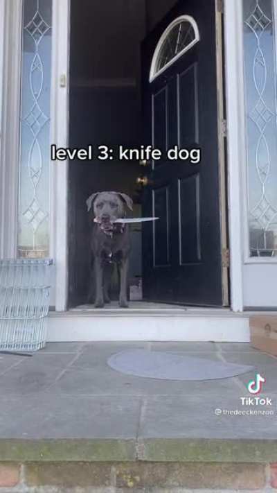 Home security