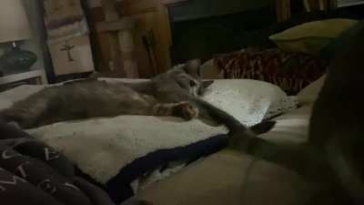 Sneak Attack