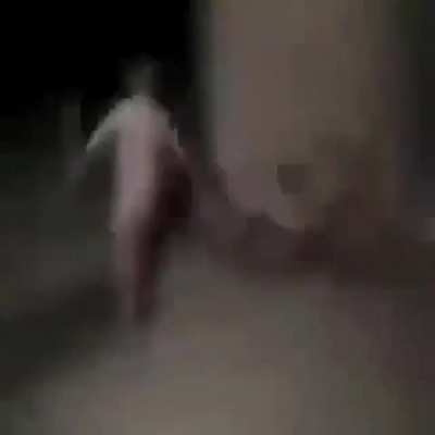 Sus