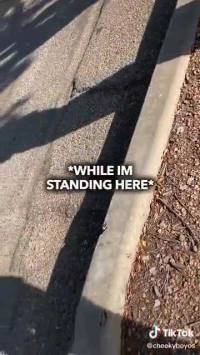 They actually did it