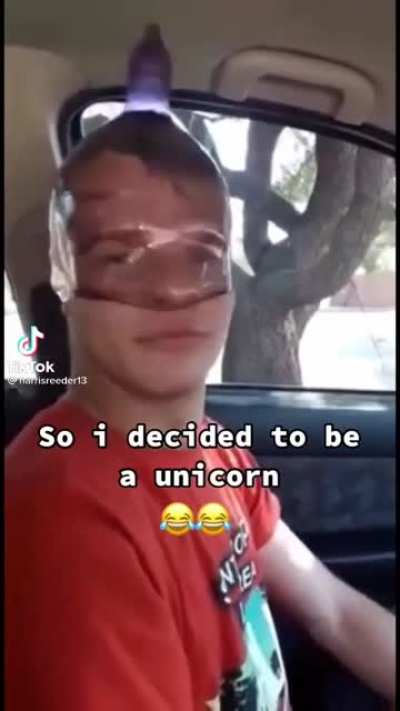 Be a unicorn