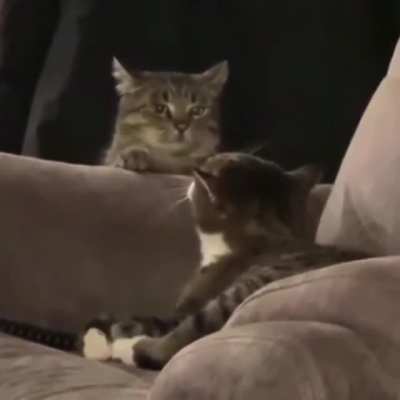 I'm warning you Clancy!