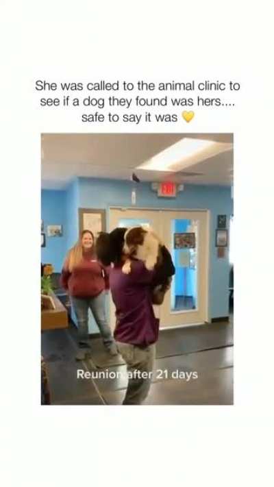 Puppy and Human Reunite ❤️