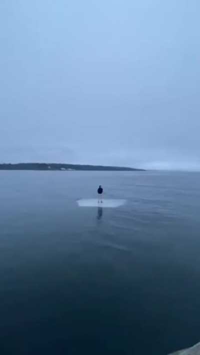 Floating away in the ocean