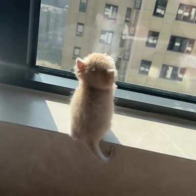 Enjoying the sun